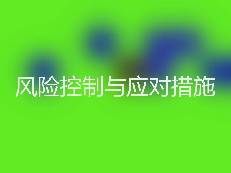 风险控制与应对措施