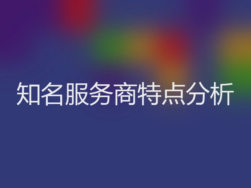 知名服务商特点分析