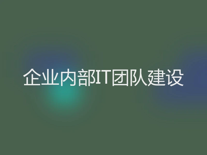 企业内部IT团队建设