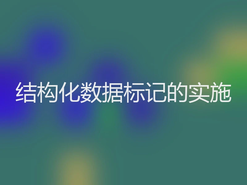 结构化数据标记的实施
