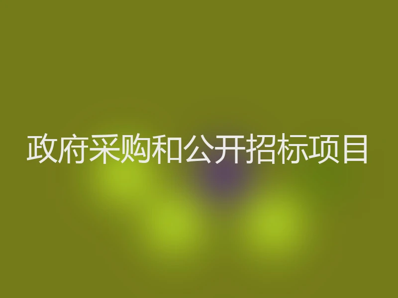 政府采购和公开招标项目