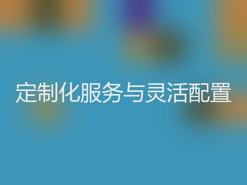 定制化服务与灵活配置