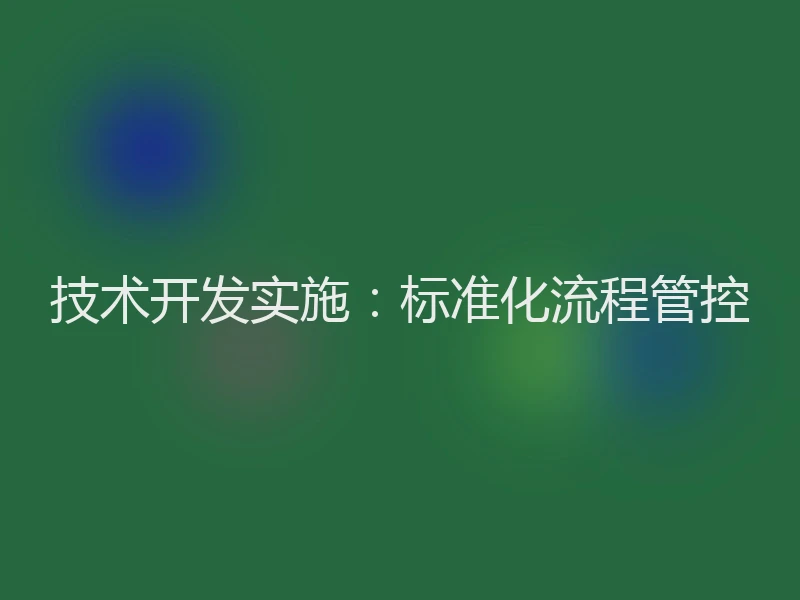 技术开发实施:标准化流程管控