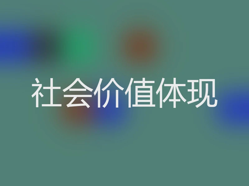 社会价值体现
