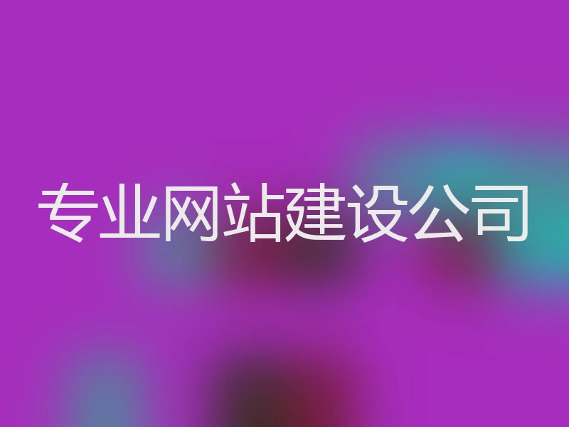 专业网站建设公司