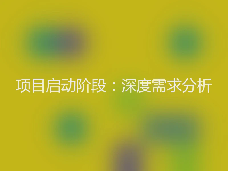 项目启动阶段:深度需求分析