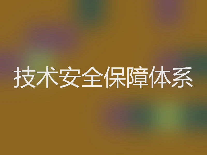 技术安全保障体系