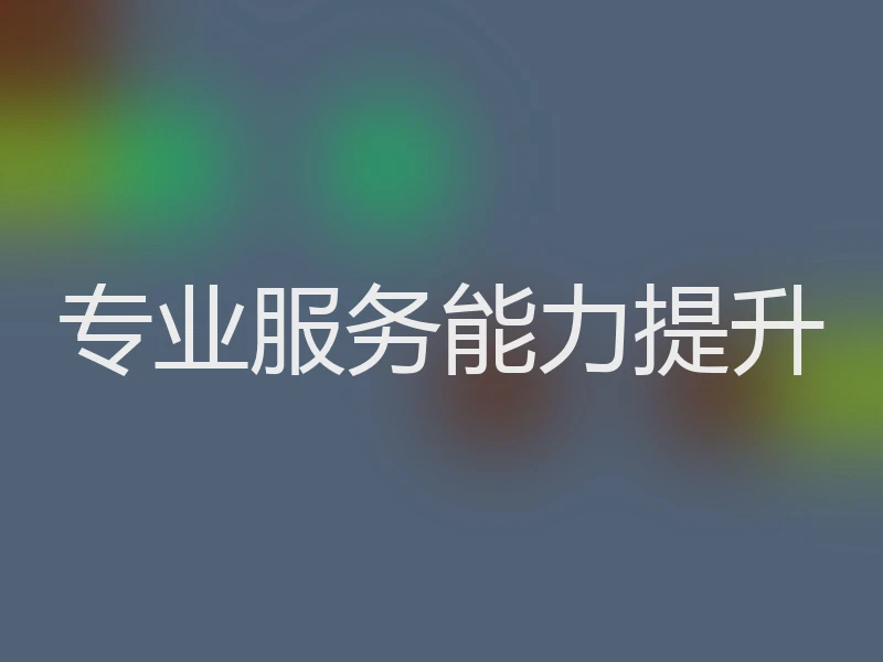 专业服务能力提升