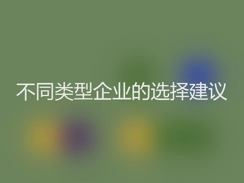 不同类型企业的选择建议