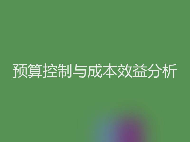 预算控制与成本效益分析