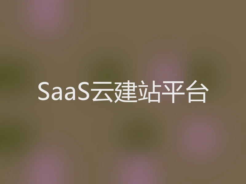 SaaS云建站平台