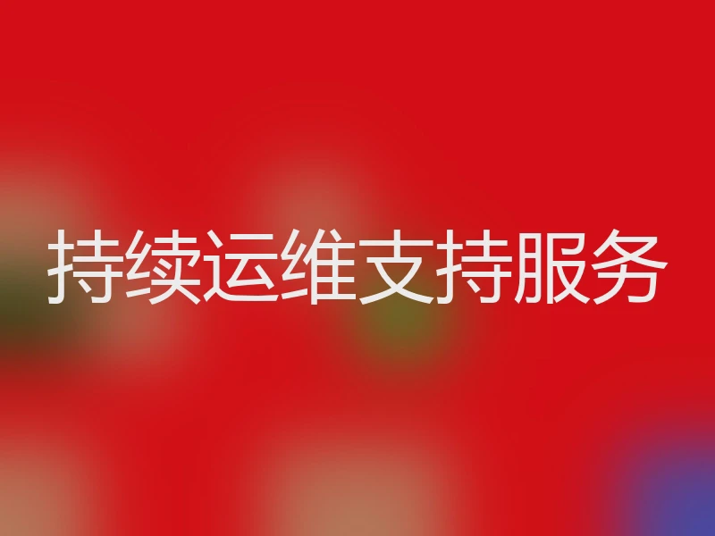 持续运维支持服务