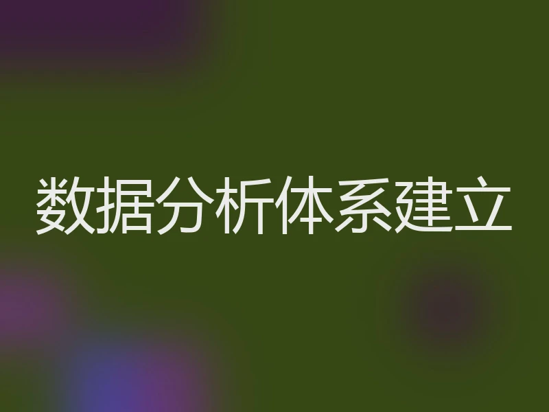 数据分析体系建立