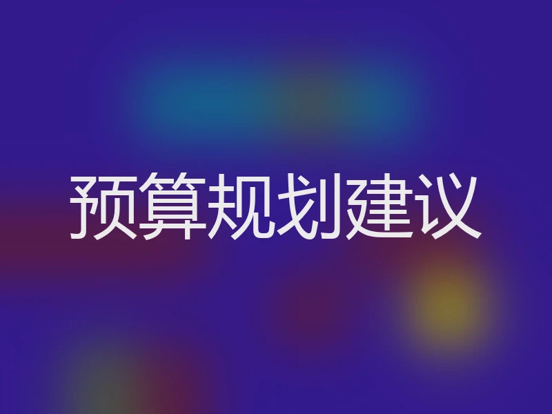 预算规划建议