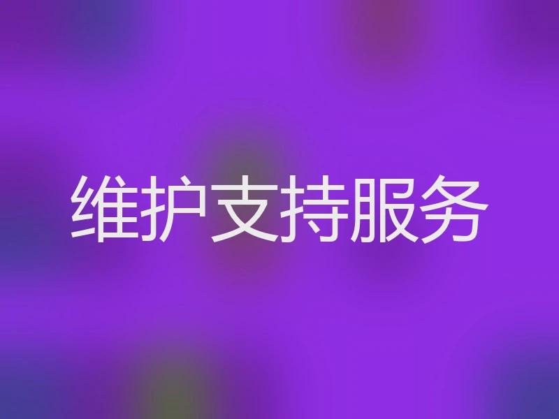 维护支持服务