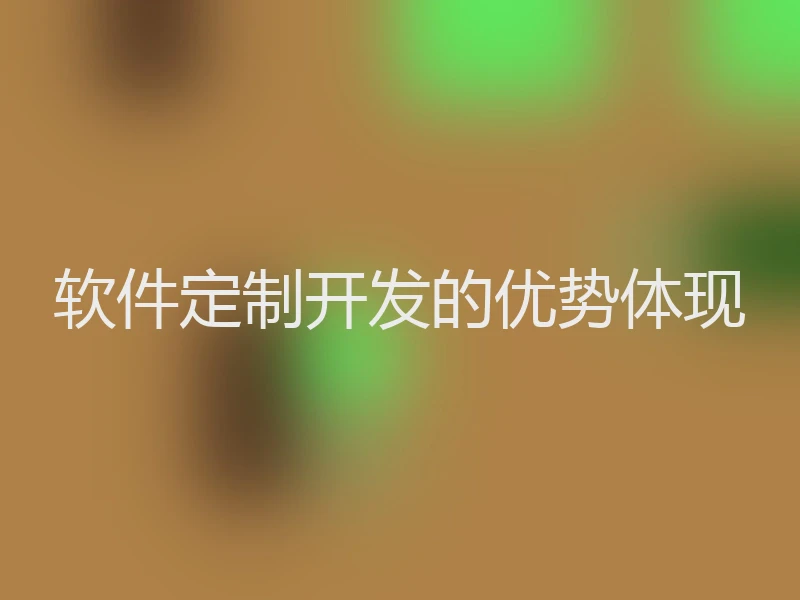 软件定制开发的优势体现