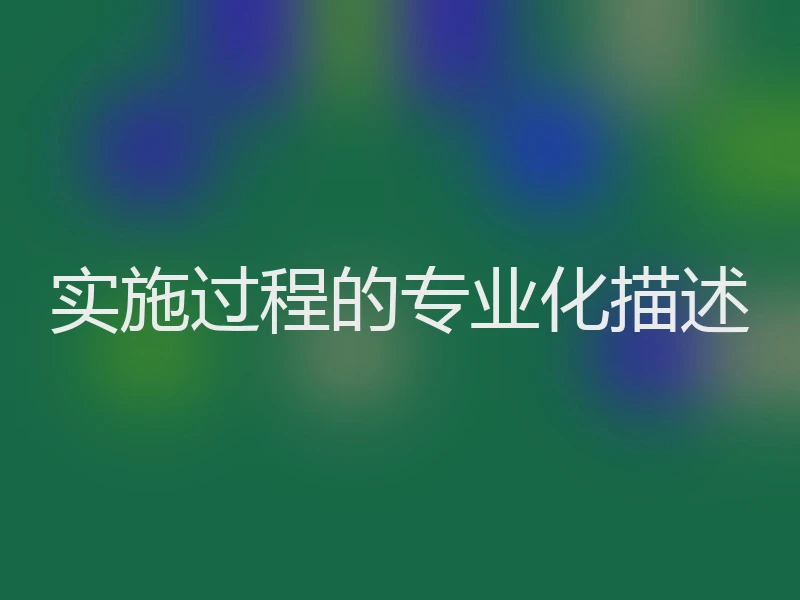 实施过程的专业化描述