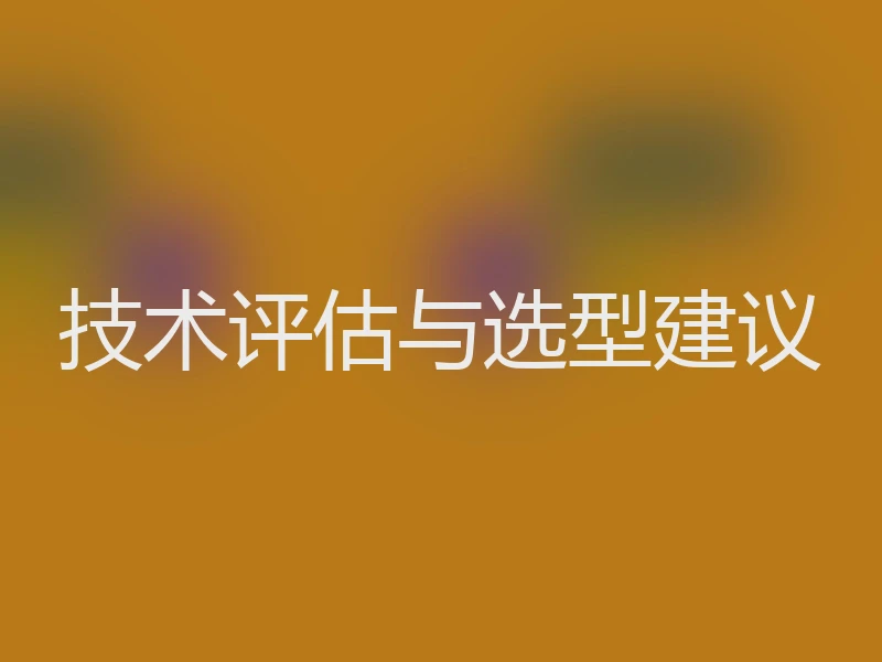 技术评估与选型建议