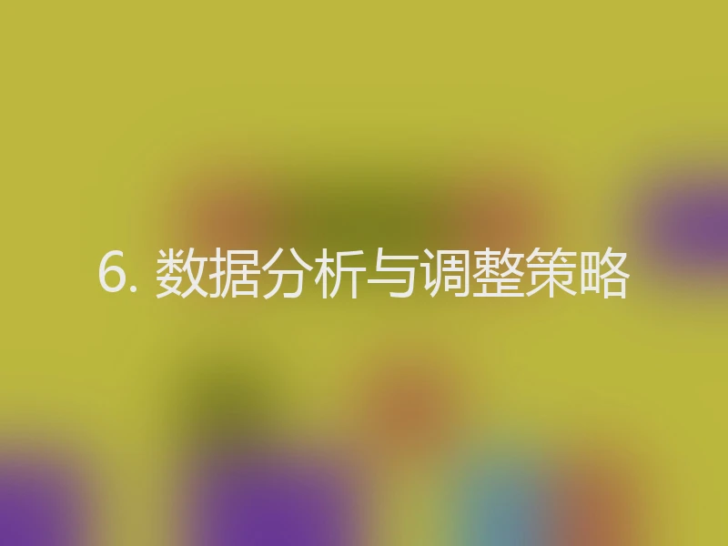 6. 数据分析与调整策略