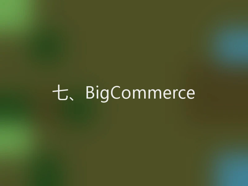 七、BigCommerce