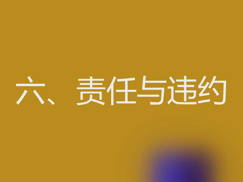 六、责任与违约