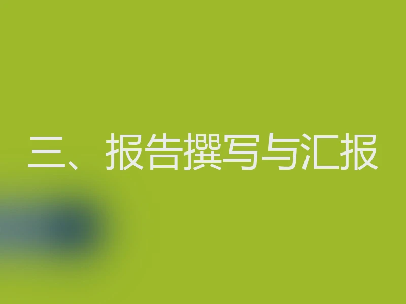 三、报告撰写与汇报