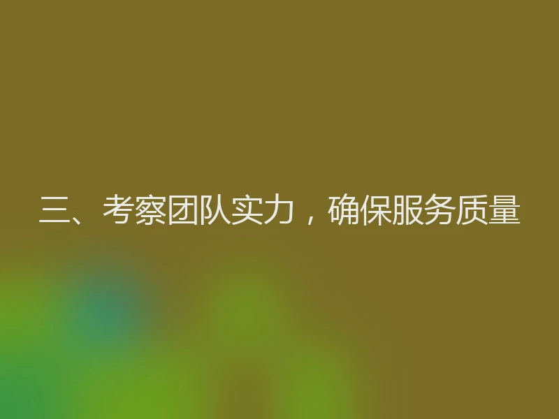 三、考察团队实力,确保服务质量