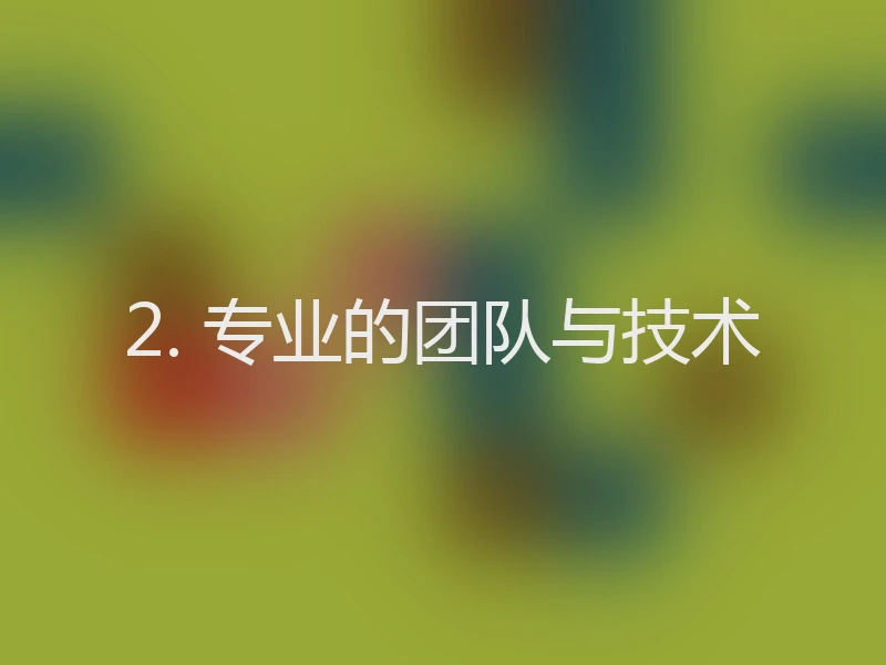 2. 专业的团队与技术