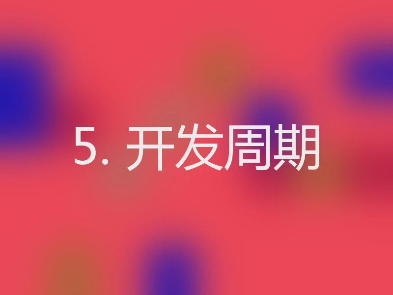 5. 开发周期