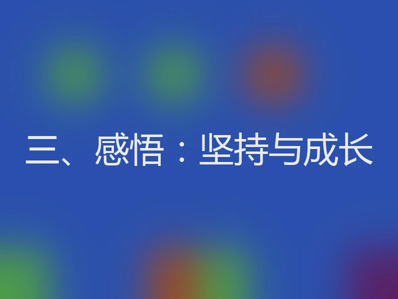 三、感悟:坚持与成长