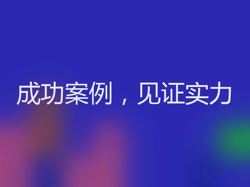 成功案例,见证实力