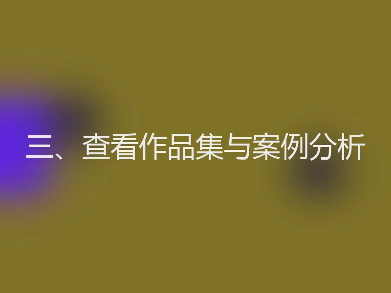 三、查看作品集与案例分析