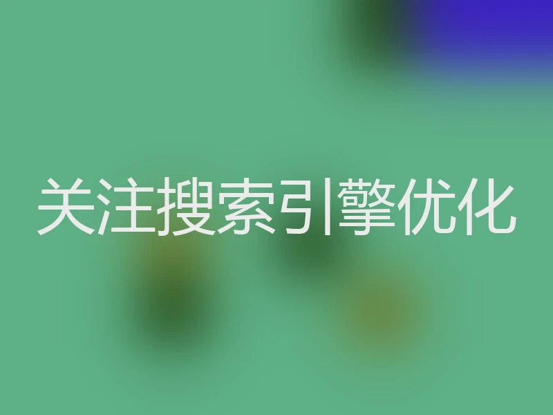 关注搜索引擎优化