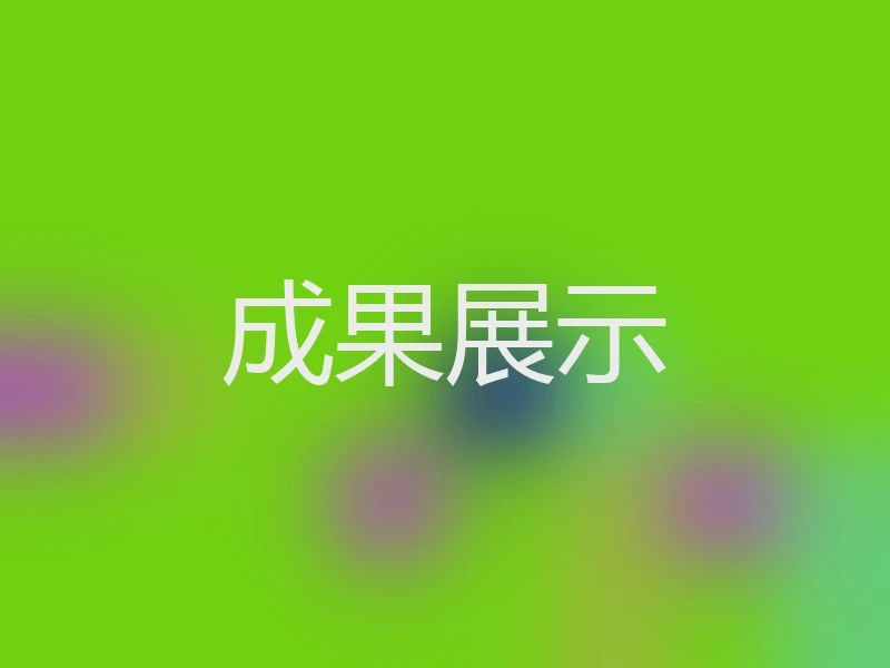 成果展示
