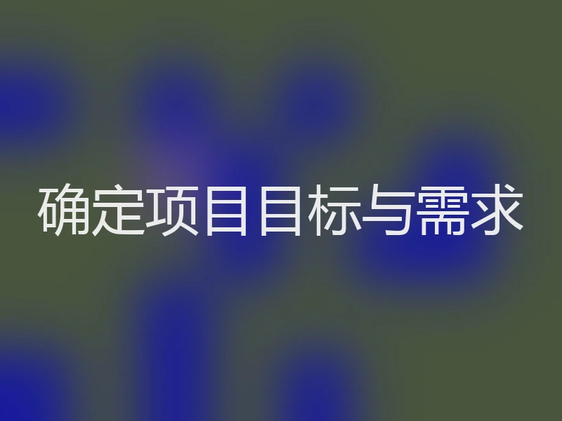 确定项目目标与需求