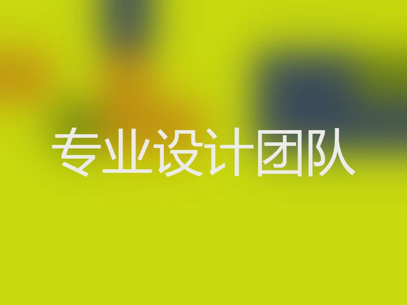 专业设计团队