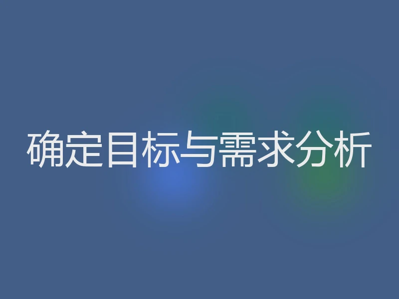 确定目标与需求分析