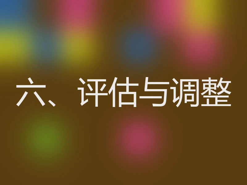 六、评估与调整