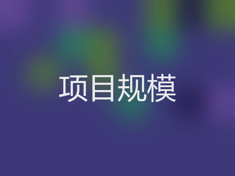 项目规模