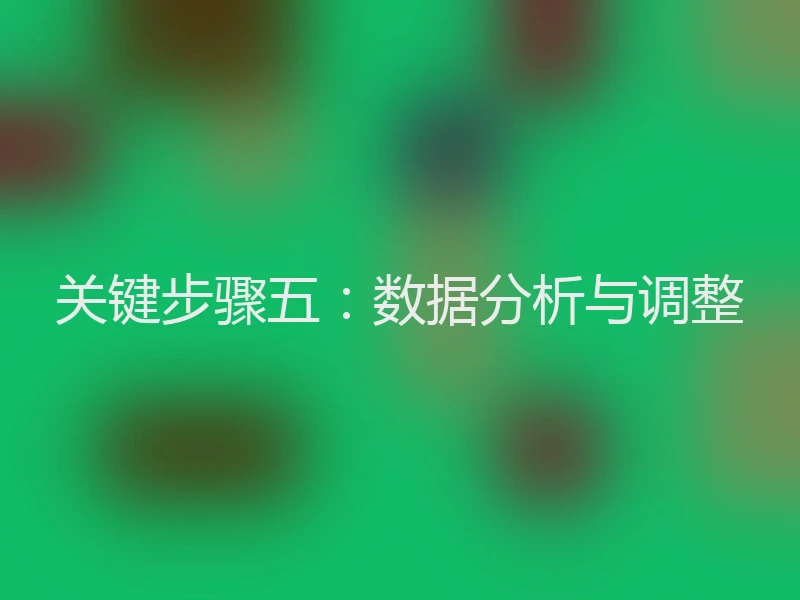 关键步骤五：数据分析与调整