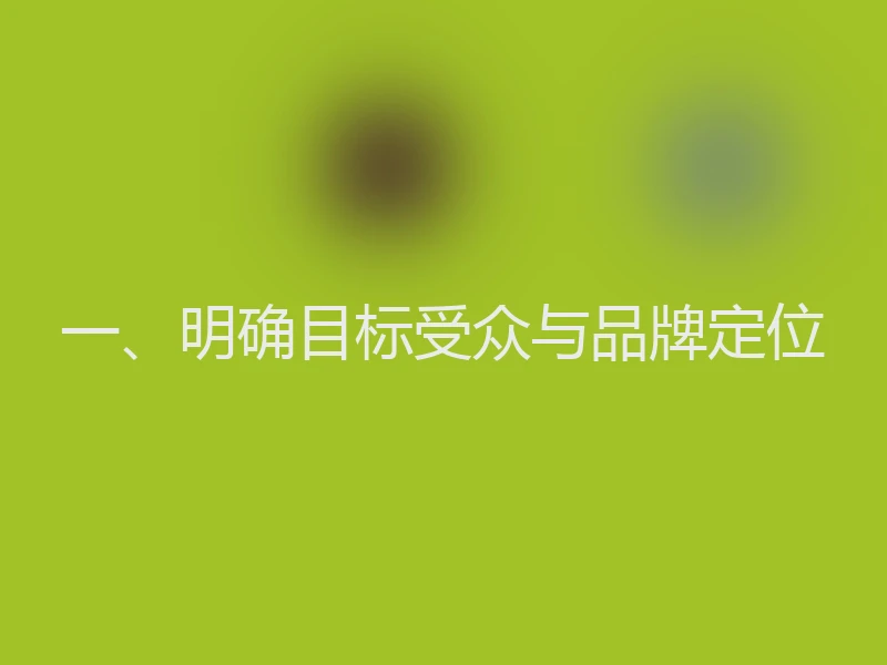一、明确目标受众与品牌定位