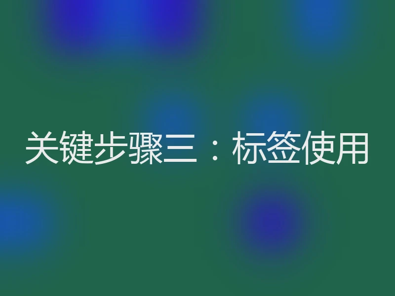 关键步骤三：标签使用