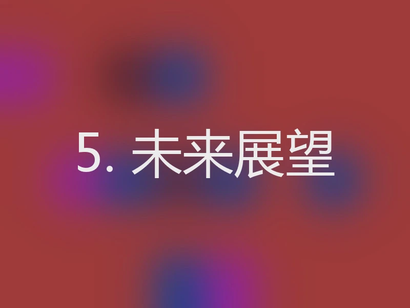 5. 未来展望