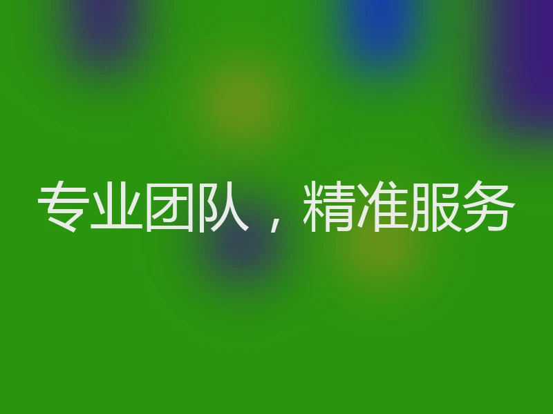 专业团队,精准服务