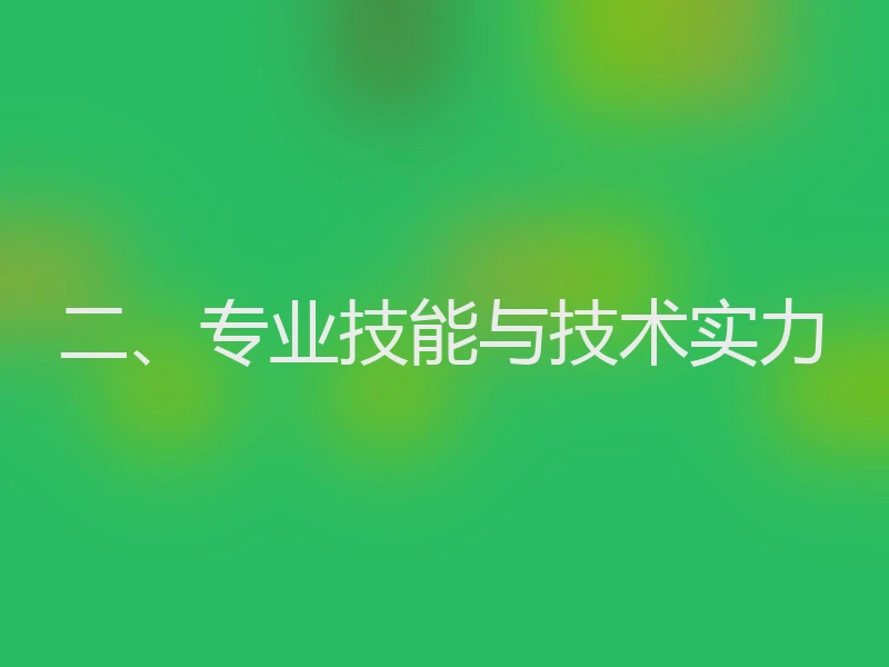 二、专业技能与技术实力