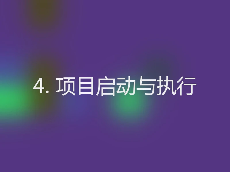 4. 项目启动与执行