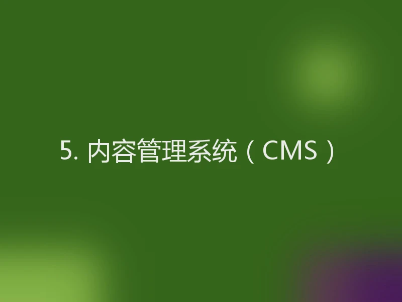 5. 内容管理系统（CMS）