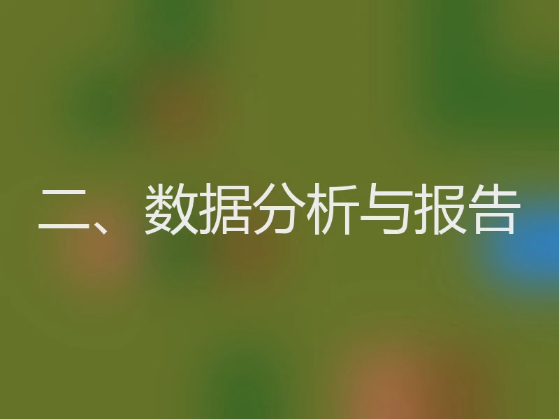 二、数据分析与报告