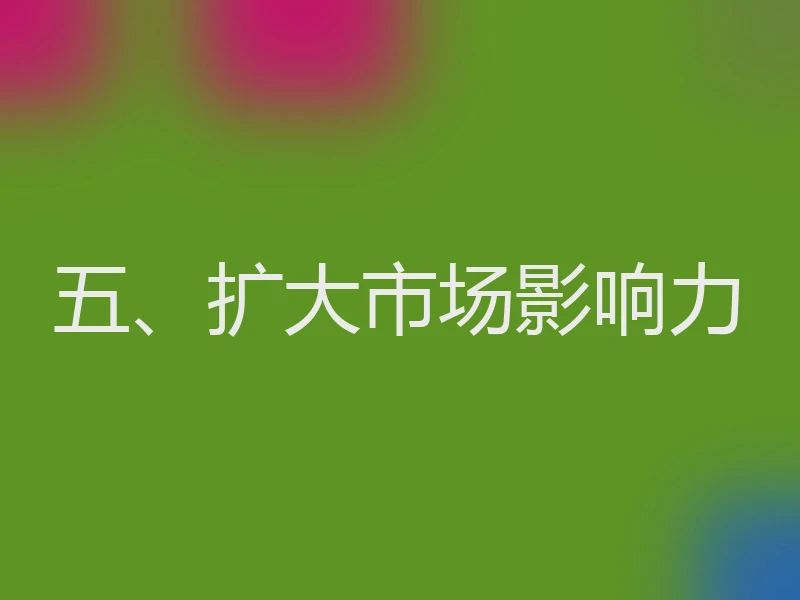 五、扩大市场影响力