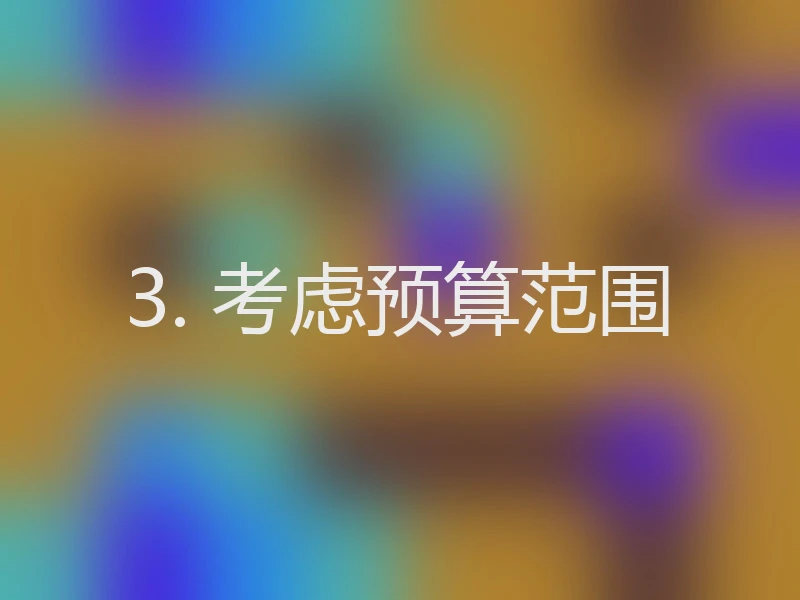 3. 考虑预算范围